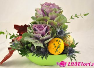 123flori – de la sentiment la afacere 123flori