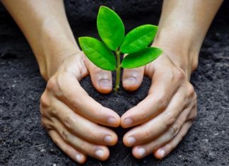 Provocare stiridebine.ro – Ce faceti voi pentru o societate mai buna? societate