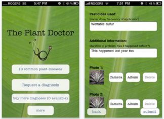 Aplicatie iPhone pentru diagnosticarea bolilor plantelor