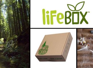 Tree Life Box – cutia din care rasar copaci