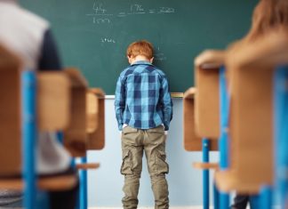 Birourile Permanente: Guvernul isi poate asuma raspunderea pe Legea Educatiei