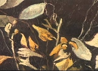 Constantin Nitescu-fenomenul discret al clasicitatii