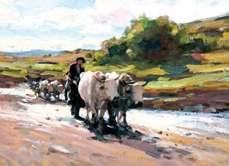 Cu toate panzele sus!