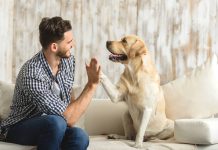 6 beneficii majore ale unui animal de companie