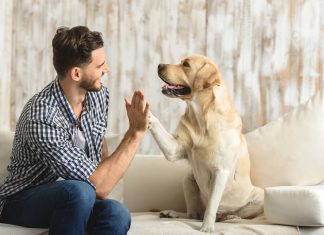 6 beneficii majore ale unui animal de companie