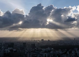 Coronavirus: Beneficiile neasteptate ale unei lumi in izolare