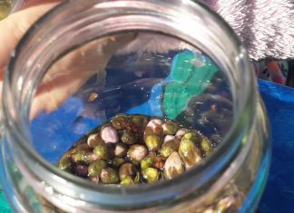 Terapia cu muguri si mladite