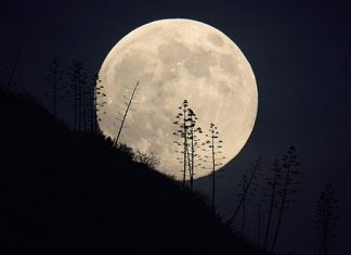 Cum sa fotografiezi luna