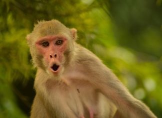 134 Citate Amuzante scurte pentru un inceput de saptamana optimist