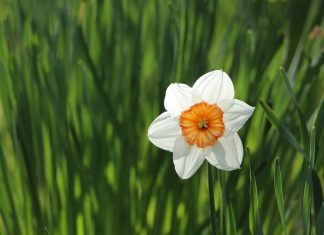 107 Mesaje De 1 Martie