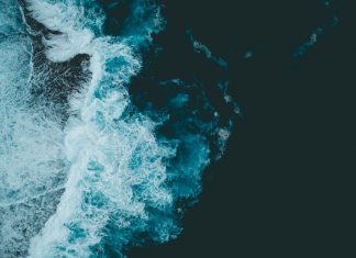 1115 Citate Despre Viata Care iti vor schimba viata