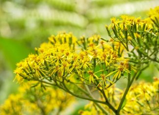 311 Citate Scurte Inspirationale Si Motivationale