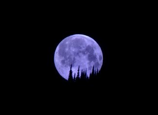 42 Citate De Noapte Buna