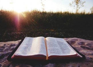 49 Citate Din Biblie scurte pentru un inceput de saptamana optimist