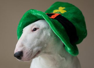 659 Citate In Limba Engleza care sa te inspire in fiecare zi