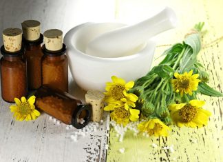 Arnica: beneficii, utilizari si contraindicatii