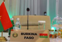 Cheile succesului loviturii militare din Burkina Faso